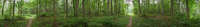 Near Carter Lake, Reston, Virginia, 20191